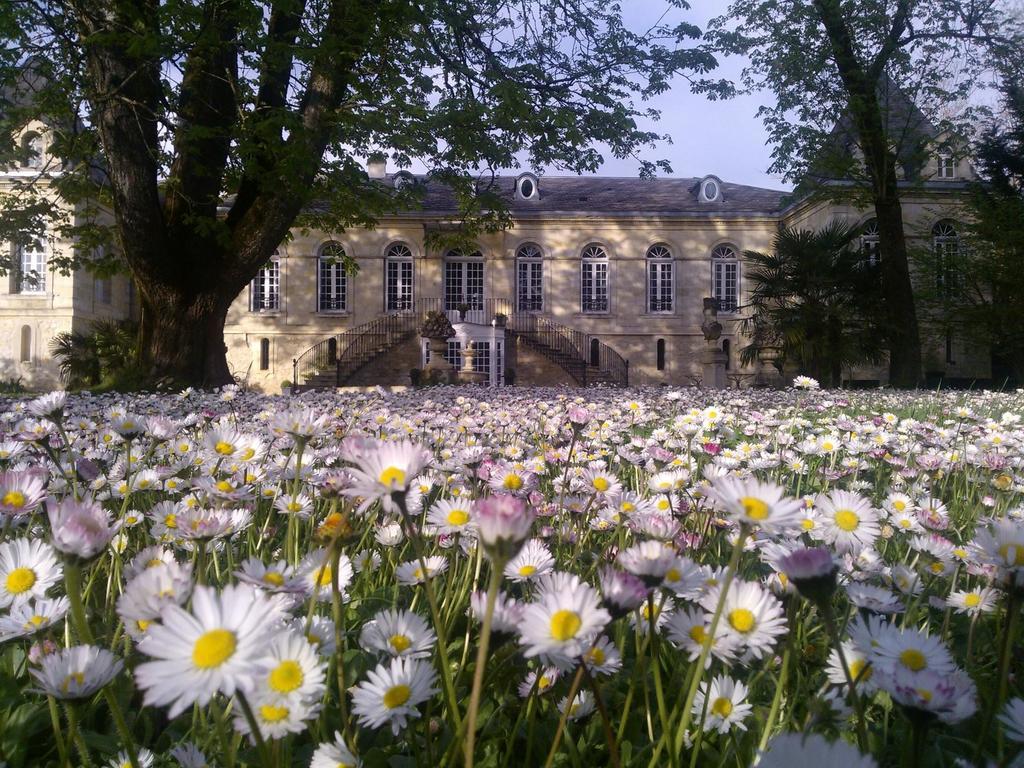 Chambres D'Hotes La Chartreuse Des Eyres Podensac Exterior photo